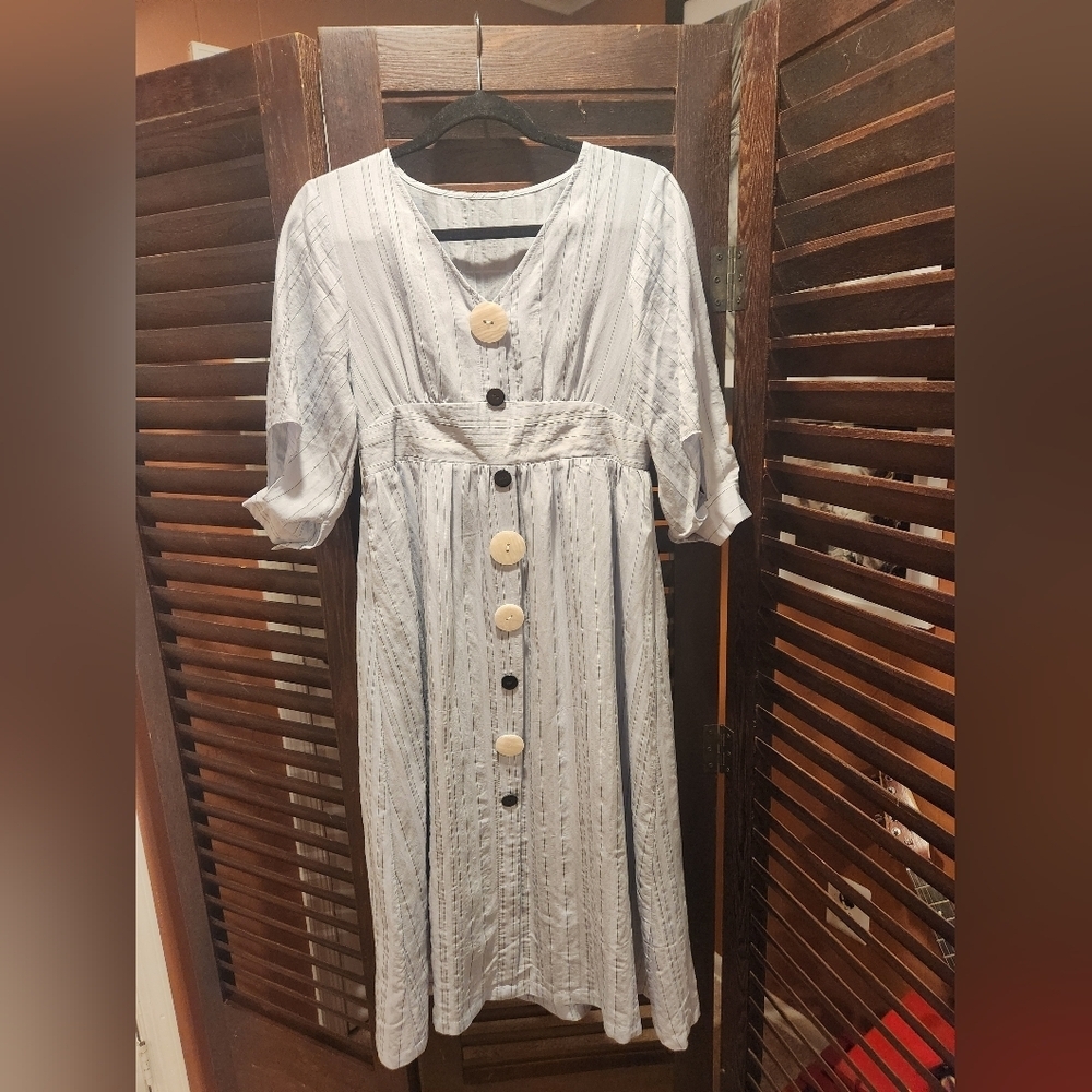 Vintage Blue and White Button-Down Dress